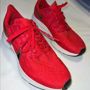 Nike Air Zoom Pegasus